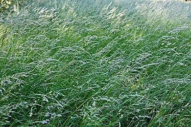 《命运 2》正逐步删除PvP中一击必杀的招式